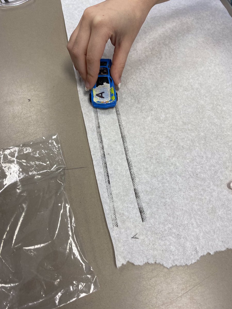 DMS_Tigers's tweet photo. Mrs. Lindsay’s and Ms. Williams’ CSI classes participated in a CSI tire tracks challenge. #DMSgamechangers #LeadersOfTheirOwnLearning https://t.co/C8JqSaZyjG