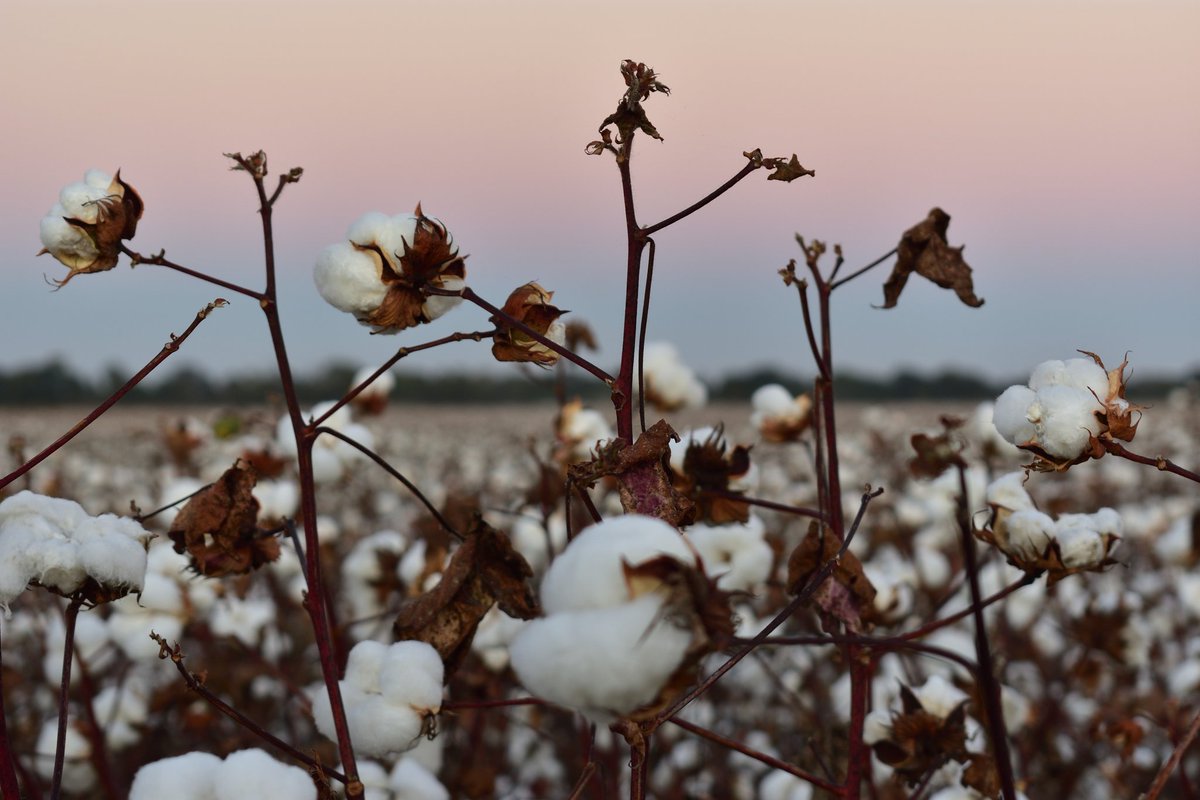 Cool Crisp October Sunsets Before Hurricane Delta