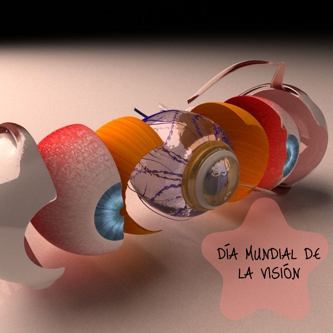 innovaopticalg's tweet photo. DÍA MUNDIAL DE LA VISIÓN
La mayoría de enfermedades que causan ceguera NO PRESENTAN SÍNTOMAS, solo son percibidas por la mayoría de personas en las fases tardías. Pero si se pueden prevenir si se consulta a tiempo con los especialistas de la salud visual. https://t.co/JlnUFcsfJI