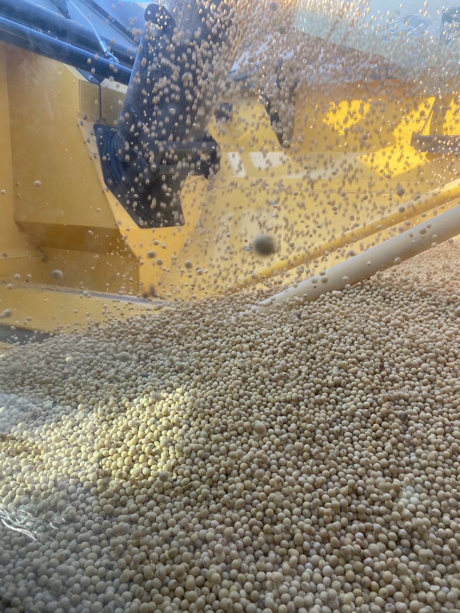 CR8.90 automation in action!  <a href="/NHAgriculture/">New Holland North America</a>
