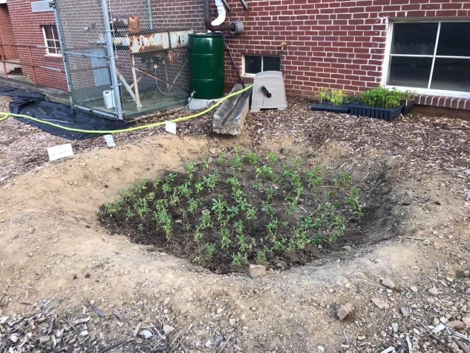 Our pollinator garden at Andrew Maier is planted! With A LOT of help from our Berks Nature partners, PA Master Naturalist volunteers, staff members &amp; students we planted close to 800 pollinator-friendly native plants! Check out the story in the Reading Eagle &amp; WFMZ Channel 69.