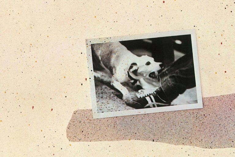 🎸Return of Rock🎸 tweet media