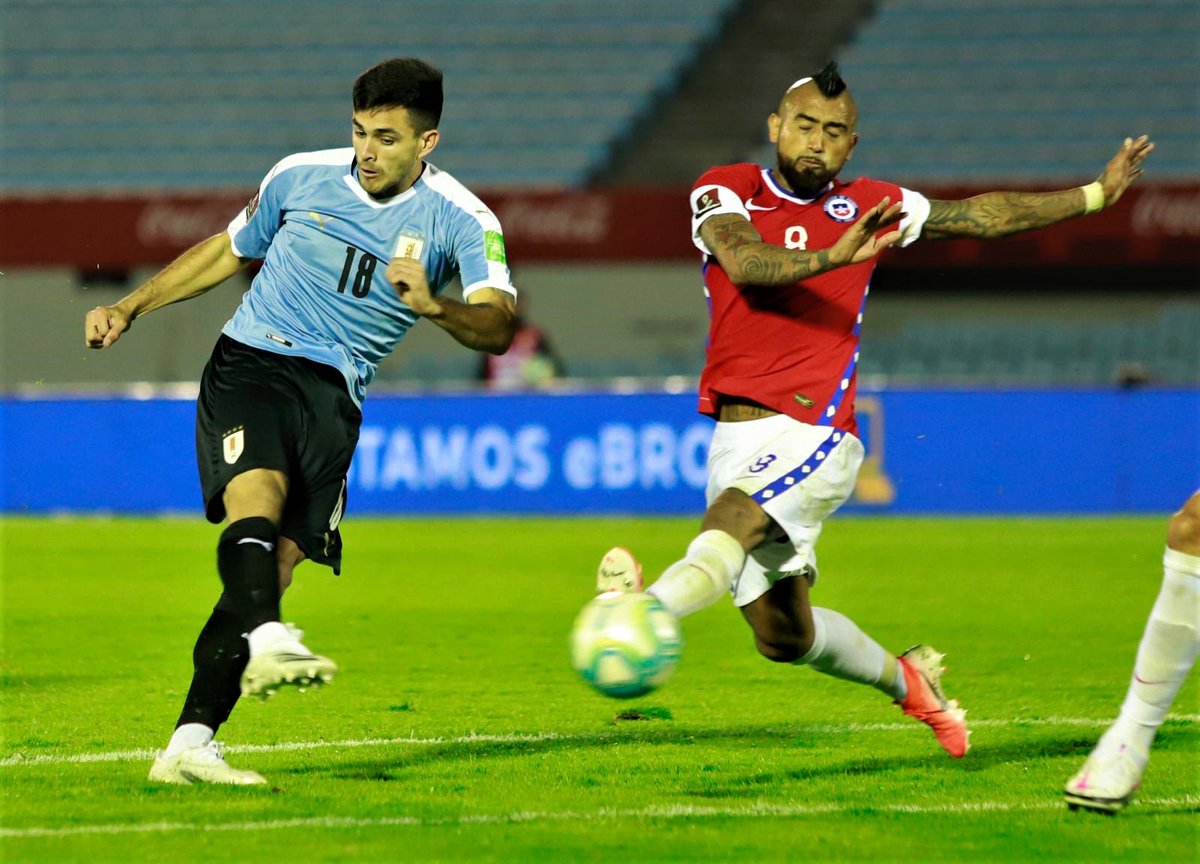 Selección Uruguaya tweet media
