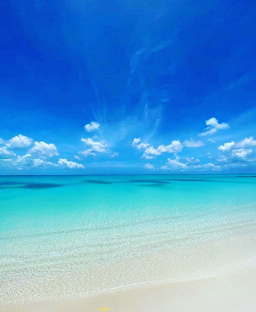 💙

<a href="/TripAdvisor/">Tripadvisor</a> #TurksAndCaicos #TCI  #BeautifulByNature #Caribbean #Paradise #SunSandAndSea #BestBeaches #Gracebay 
#Tranquility #wanderlust