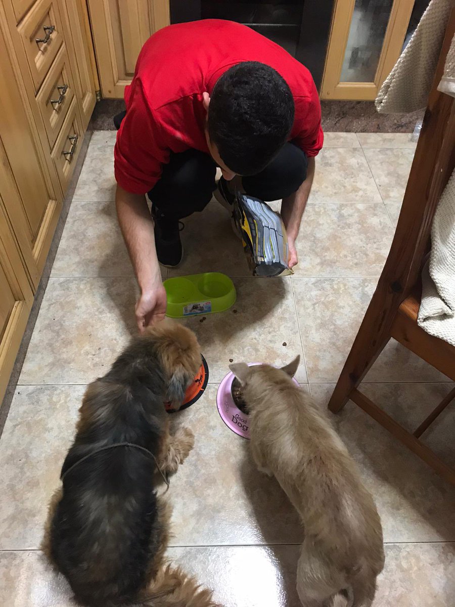 semfidor's tweet photo. Perdonar el salir de repente @cessacnh ha rescatado a estos dos y los hemos bañado y dado de comer y beber para llevarlos mañana a una protectora. Más no podemos hacer pero seguro que ya es mucho 💪🏼 https://t.co/j4o5XKNwIR