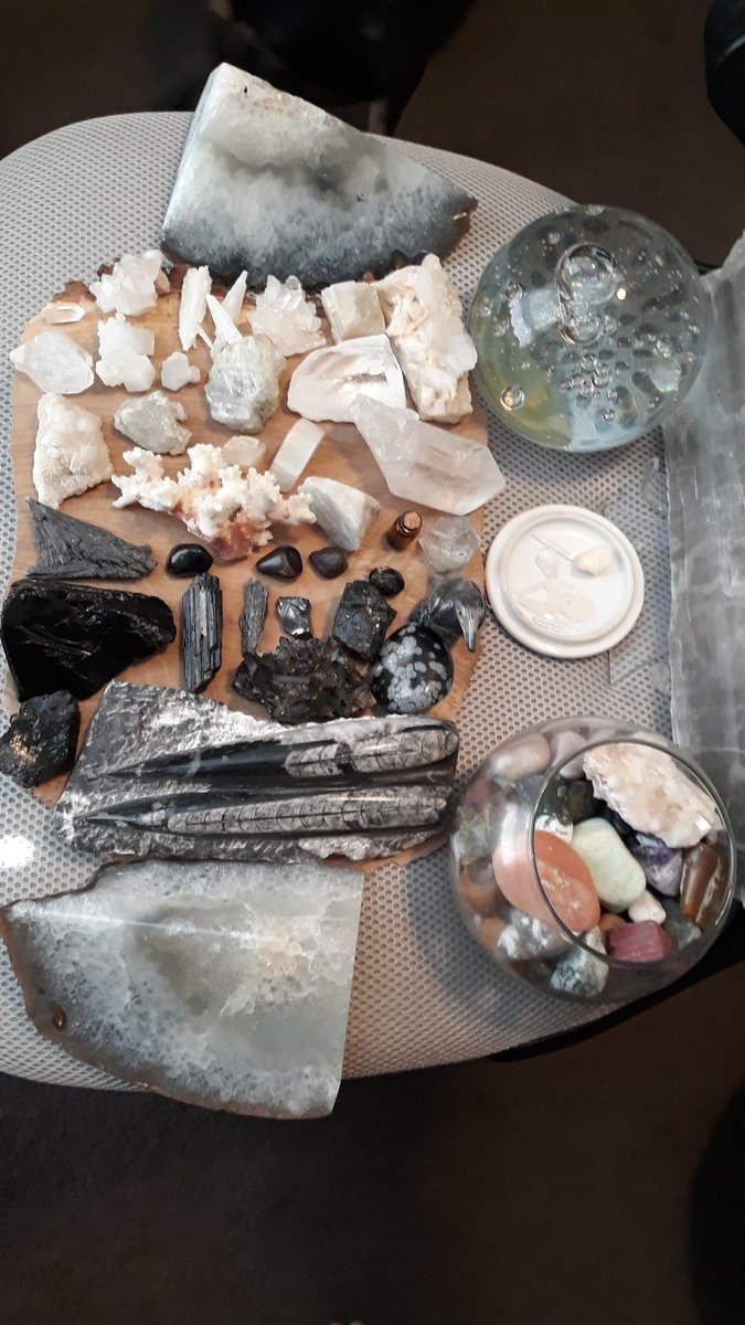 WitchesFor's tweet photo. Plant & Crystal Hoarder
#witchesforyang #witchyshit #greenwitch #crystals #houseplants https://t.co/lLlS5UlSlF