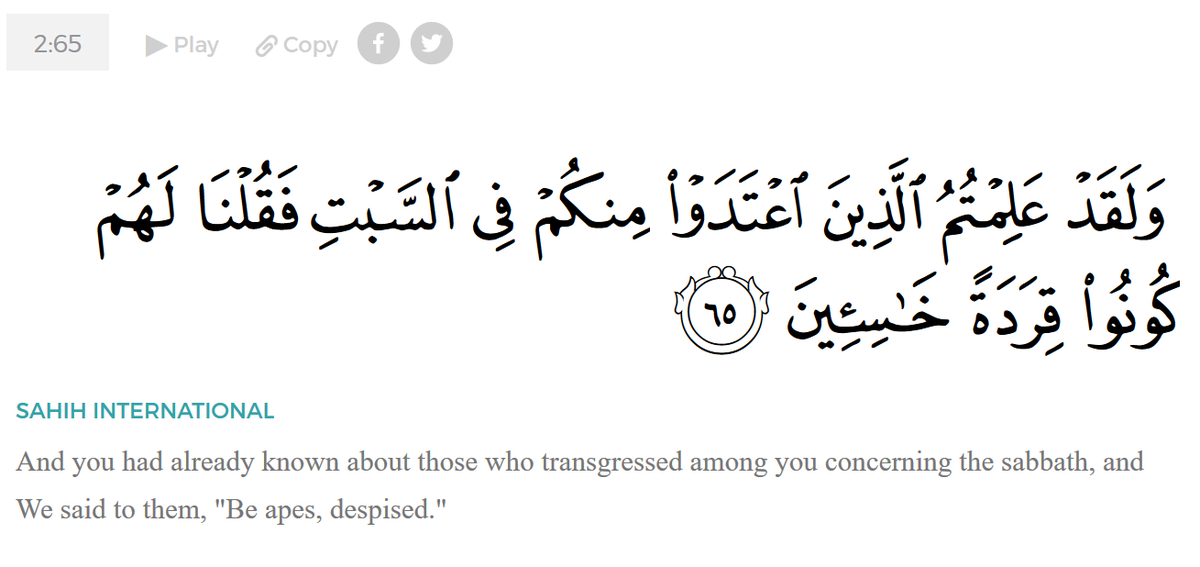 In fact, it has a qurʾanic pedigree: the Qurʾan speaks of God punishing the wicked – especially Jewish violators of the Sabbath – by transforming them into baser creatures, such as apes and pigs. This has about as much to do with evolution as Kafka’s 𝑀𝑒𝑡𝑎𝑚𝑜𝑟𝑝ℎ𝑜𝑠𝑖𝑠...