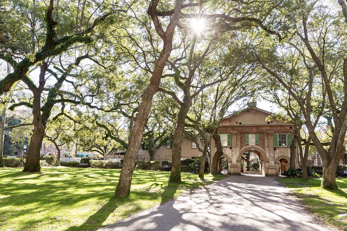 Amazing Colleges tweet media