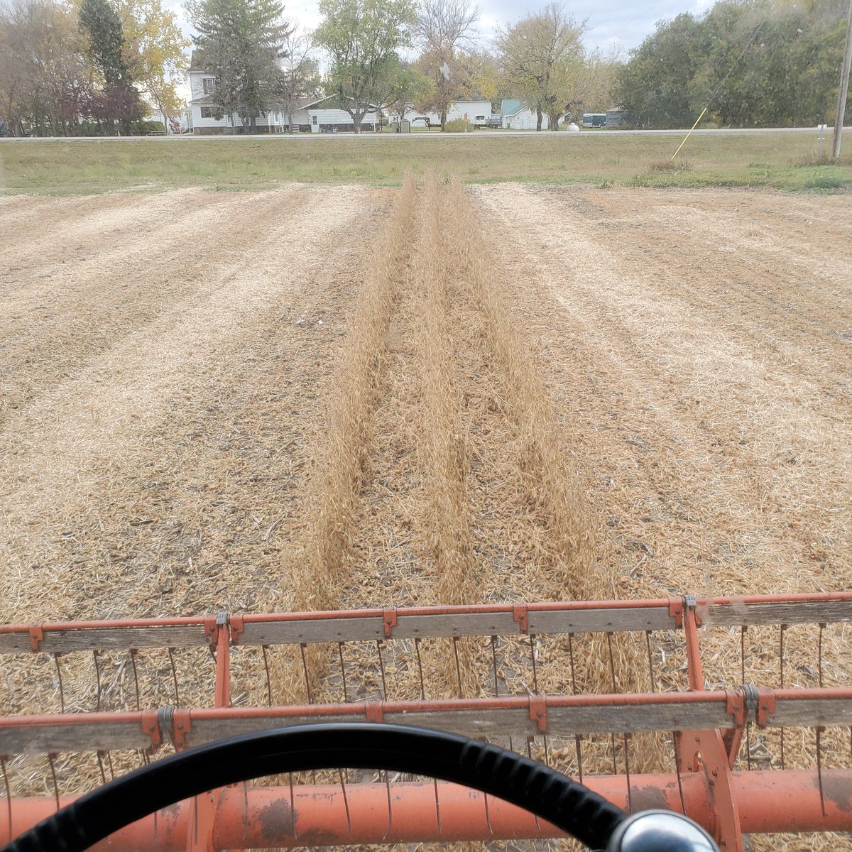 ProseedAgronomy's tweet photo. And thats a wrap! Soybean plots are done and we're on to corn! Starting to get paranoid because the weather has been so nice. Guess I'm still on edge from last fall #2019Nightmare https://t.co/hkzZVPExZz