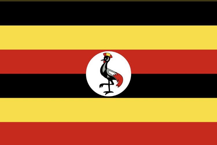 beeforeeal's tweet photo. The FLAG &amp; The FACE✨ https://t.co/JkBPO5QWW6