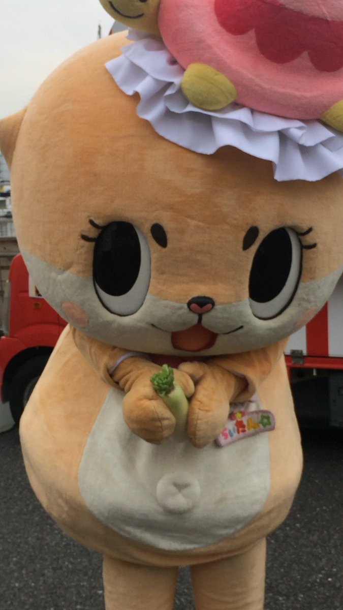 東京夢の島マリーナ ট ইট র অন সন ধ ন