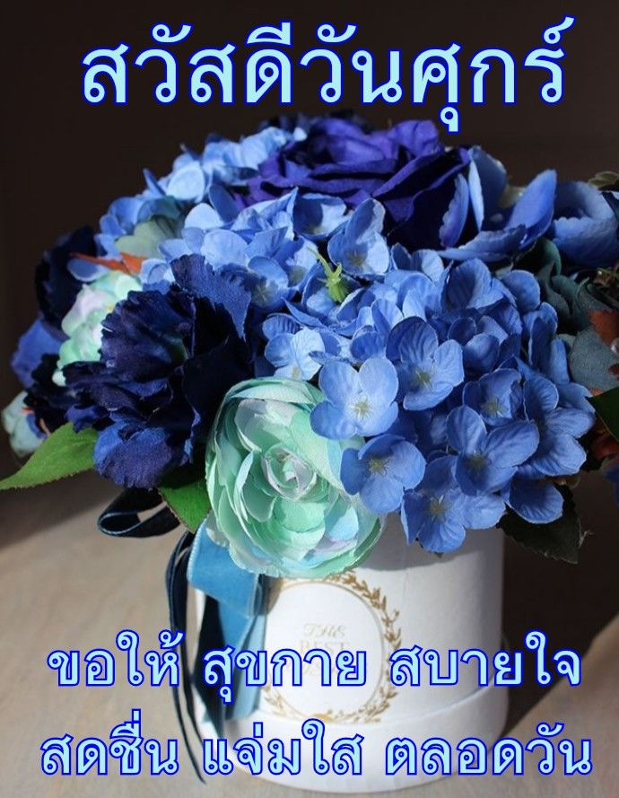 (: tweet media
