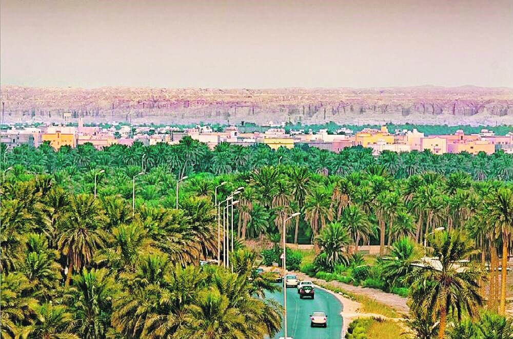 Agriculture_esa's tweet photo. واحة الأحساء تدخل موسوعة غينيس للأرقام القياسية كأكبر واحة في العالم. https://t.co/g02G3e7E75