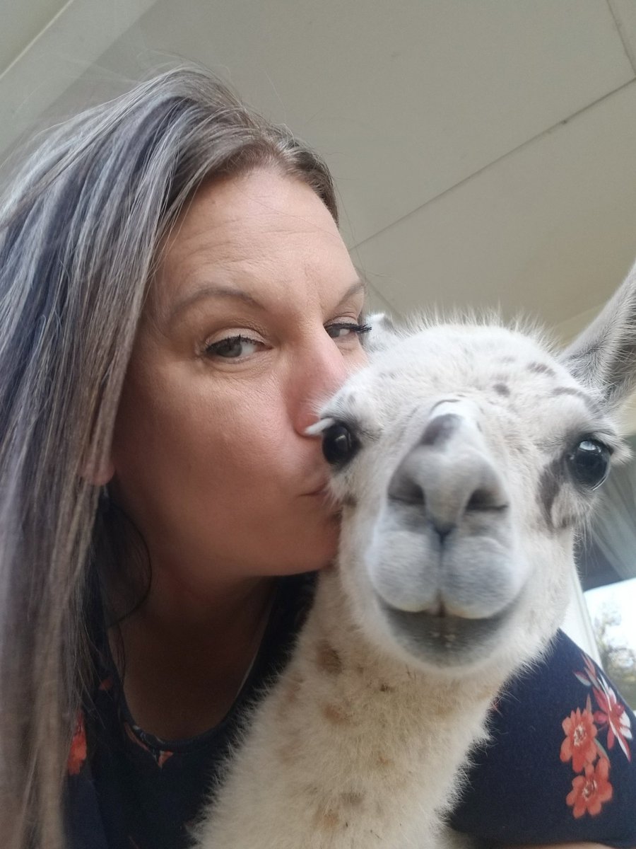 MamaWolf tweet media