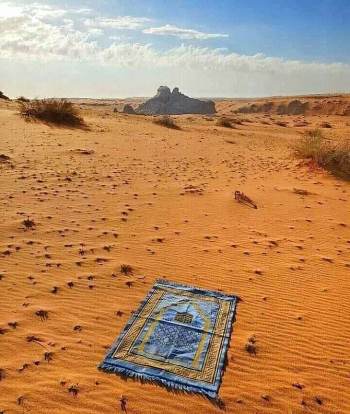 Muhamma12167833's tweet photo. Don't forget to recite surah e Kahaf.
#JummahMubarak https://t.co/nG7vNCjTe1