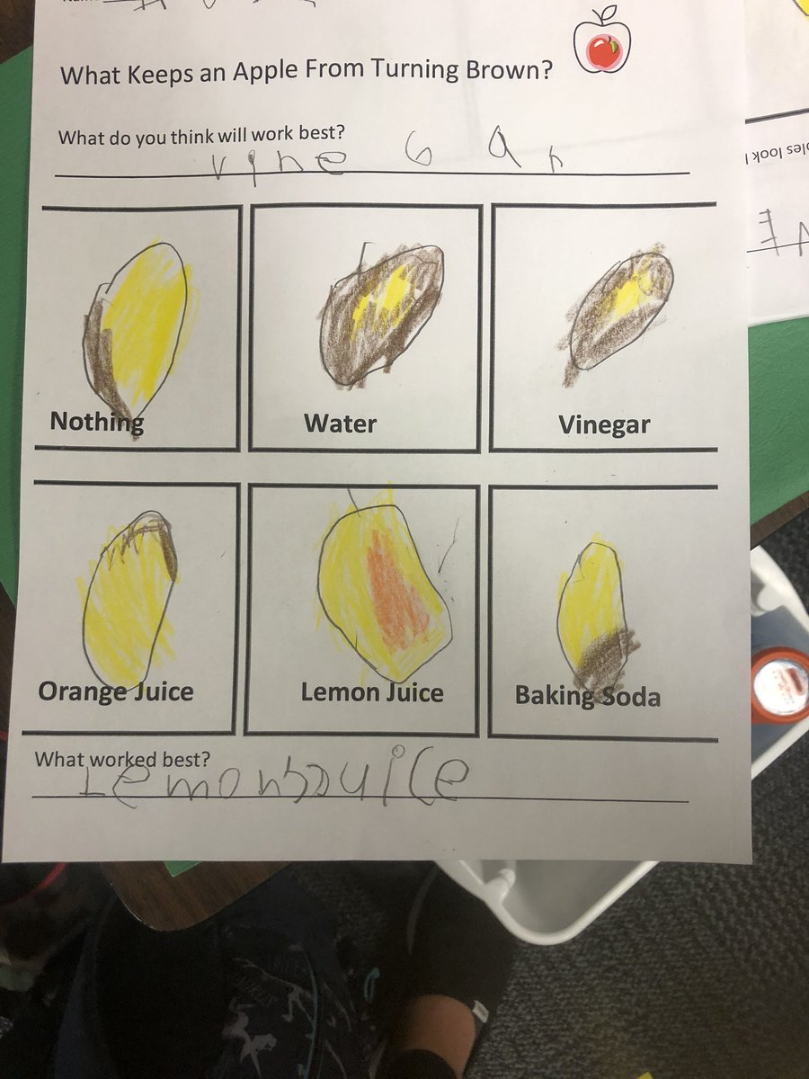 The results are in.... Lemon Juice worked the best in our apple experiment! #science #learning #earlyyears #gradeone