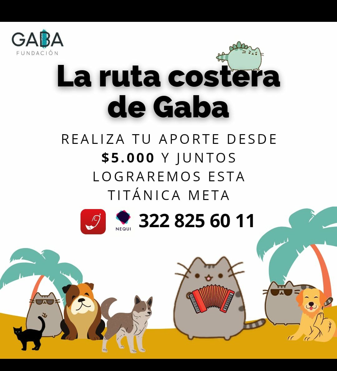 fundacion_gaba's tweet photo. Familia gatuna empezamos a recaudar fondos para nuestra jornada en Valledupar, queremos realizar 100 cirugías, nos puedes ayudar también compartiendo está publicación y así poder realizar esta titánica tarea  @andrea0nimalidad @patcaicedo  @FUNDACIONGE_01 https://t.co/nvqt4XWiQK