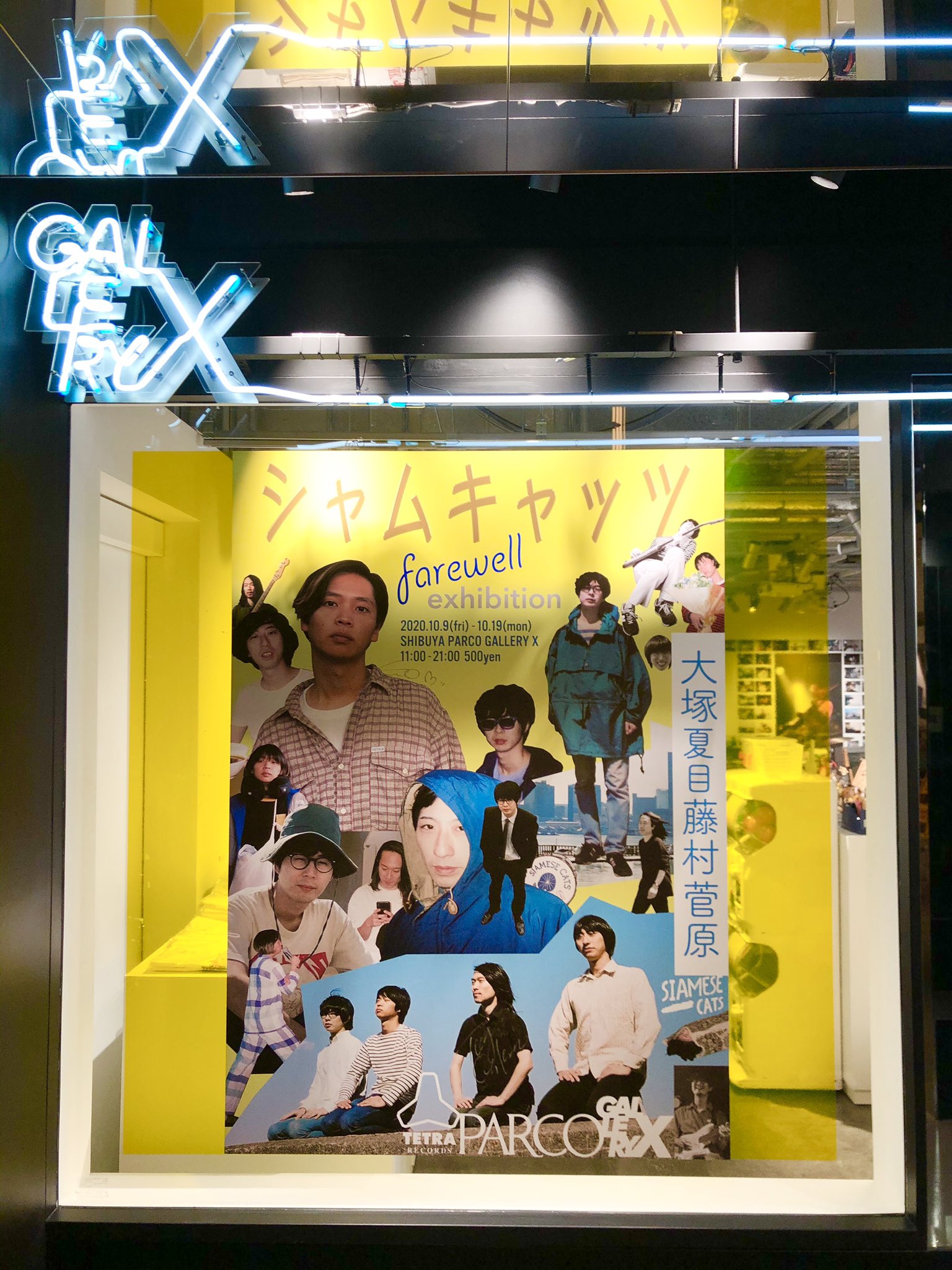Siamese Cats シャムキャッツ (@s_cats) / X