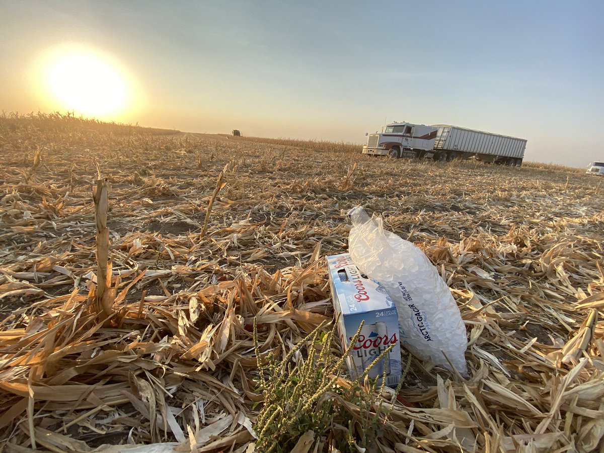 blakepoppefarms's tweet image. What does your insurance guy bring you??