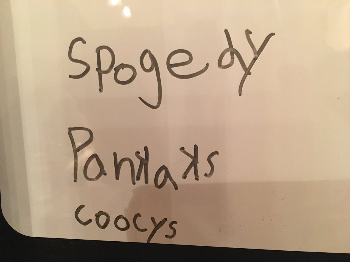 Daniel Macdonald tweet media