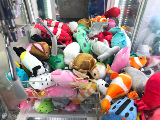 新江ノ島水族館 えのすい のクレーンゲームは 取れるまで繰り返しプレーできます T Co Glqgvnhjfz Twitter