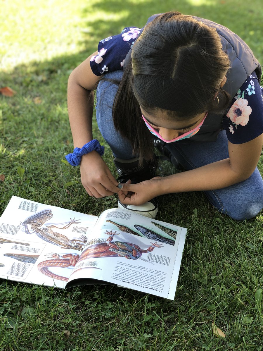 PatriLCastro's tweet photo. Students are reading about an animal, talking to their classmates about what they're discovering.  Preparation for writing an informative essay.  #SomosOT #112Leads https://t.co/echKFplGWO