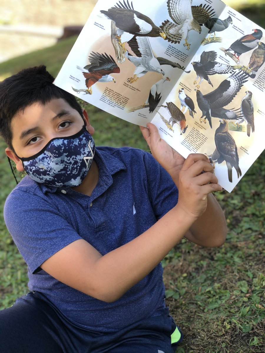 PatriLCastro's tweet photo. Students are reading about an animal, talking to their classmates about what they're discovering.  Preparation for writing an informative essay.  #SomosOT #112Leads https://t.co/echKFplGWO