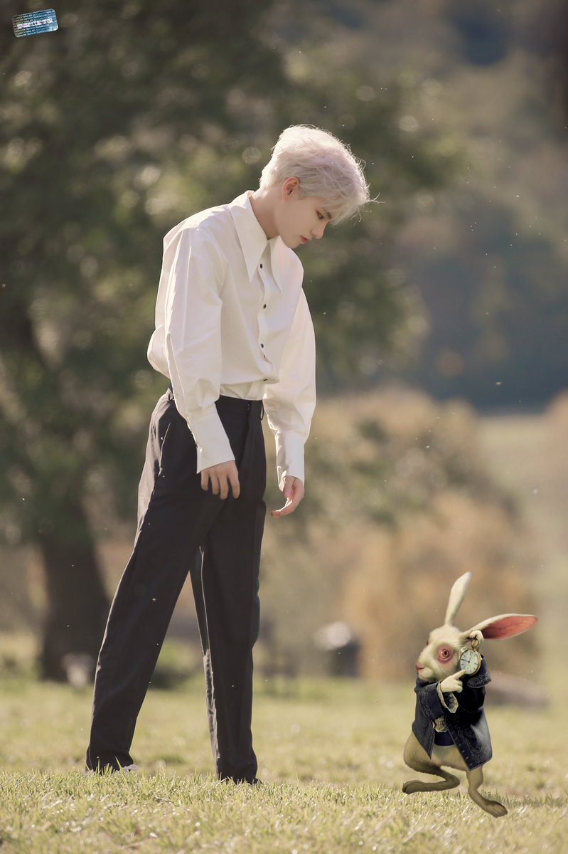 BrighteMing's tweet photo. Yao Mingming in Wonderland 

#UNINE #mingming #yaomingming #姚明明 #요명명 #요밍밍 #ヨウミソミソ #yaobonan #姚柏南 https://t.co/oRdxRdG6YC