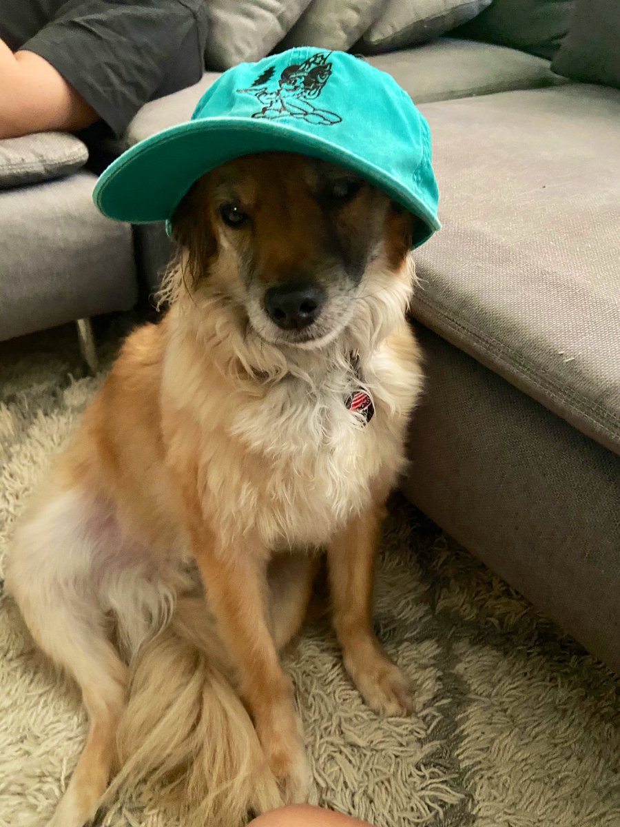Schrembeck_'s tweet photo. Devo, works at Dagger, can only be described as the goodest (and softest) of boys. #AgencySpyDOTY https://t.co/vqCV8v4ZWN