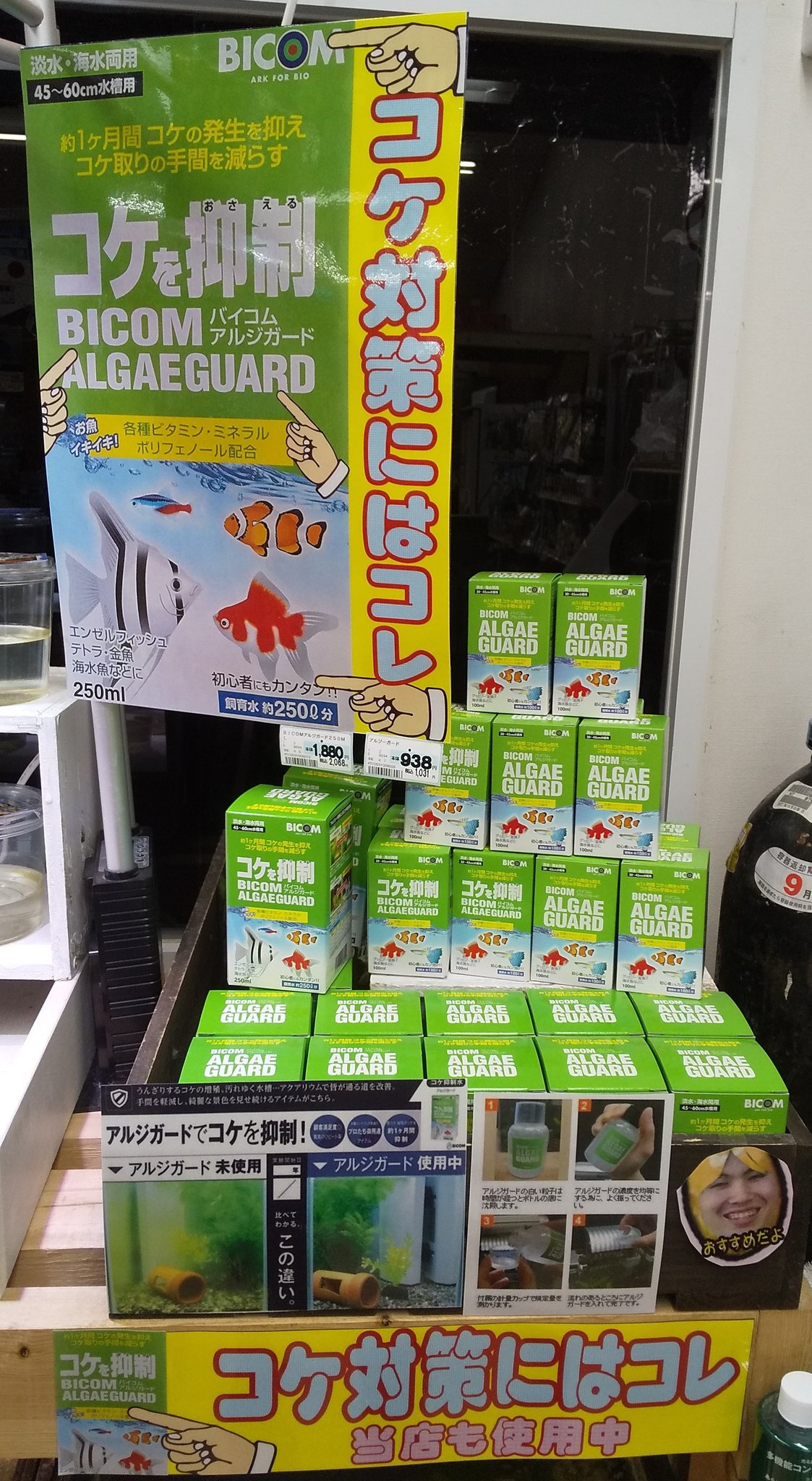 アルジガード Twitter Search Twitter