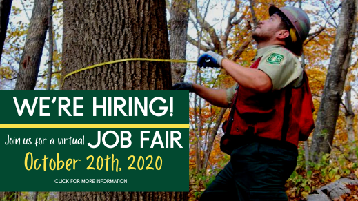 HiawathaNF's tweet photo. Virtual Job Fair October 20th! The USDA Forest Service is hiring full-time temporary positions in customer service, wildlife, plants, timber, recreation and more! https://t.co/dDqmIGU14F. #jobseekers #Michigan #forestservicejobs https://t.co/hmbhm0tgT1