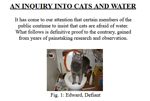 wibyweb's tweet image. #websiteoftheweek - An Inquiry Into Cats and Water (literate-lemur.com/catsandwater/). A short but interesting inquiry on the subject.