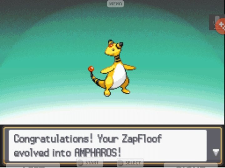 Didn't get a whole lot done.ZapFloof did evolve at least, should help against the Ice gym.