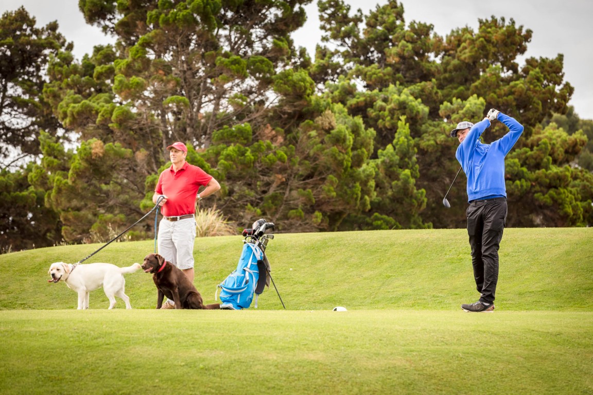 Dog Day is back at Royal Adelaide this Sunday with 70 members, family members, guests and of course their much-loved dogs all keen to enjoy an afternoon walk around the course on a forecasted 23 degrees spring afternoon!