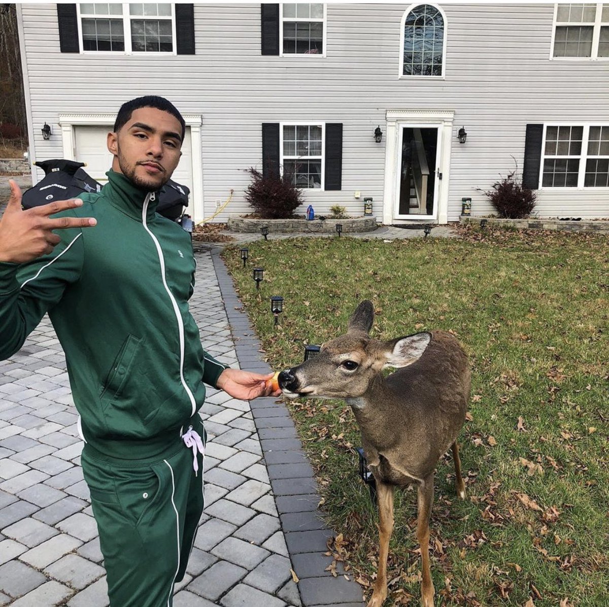 BrotherNature's tweet photo. How it started vs how it’s going https://t.co/kEc753oPis