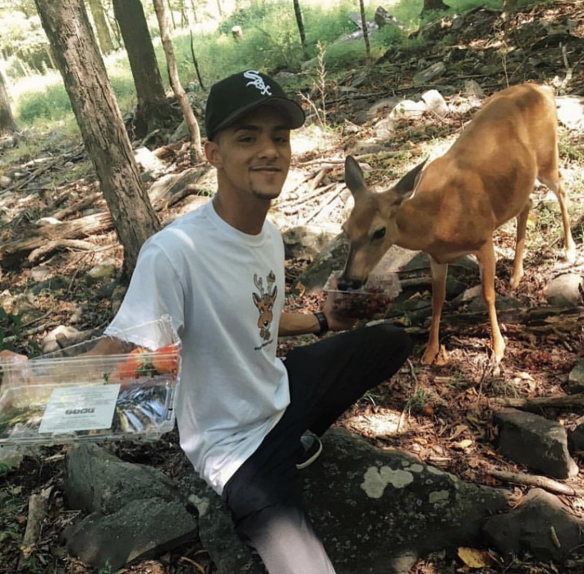 BrotherNature's tweet photo. How it started vs how it’s going https://t.co/kEc753oPis