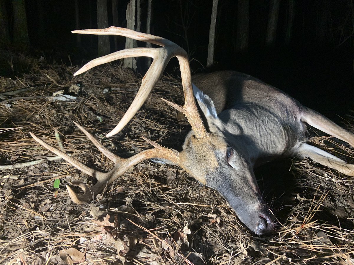 RidgeRockHuntCo's tweet photo. This ain’t no Game! 142” Mississippi Buck Down!!
#thisaintnogame #msbowhuntersassn #elitearchery #shootable #scottarchery #2Boutdoors #keepstruttincustomcalls #slicktrickbroadheads #custombowequipment #fairoilcompany #bowhunting #bowhunter #outdoors #hunting #sendit #hunting https://t.co/6St3RMuYm9