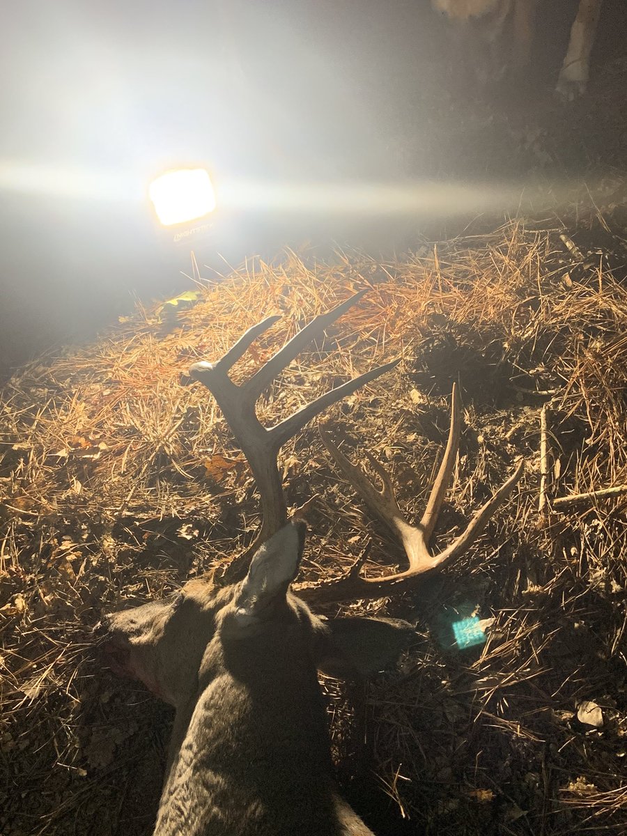 RidgeRockHuntCo's tweet photo. This ain’t no Game! 142” Mississippi Buck Down!!
#thisaintnogame #msbowhuntersassn #elitearchery #shootable #scottarchery #2Boutdoors #keepstruttincustomcalls #slicktrickbroadheads #custombowequipment #fairoilcompany #bowhunting #bowhunter #outdoors #hunting #sendit #hunting https://t.co/6St3RMuYm9