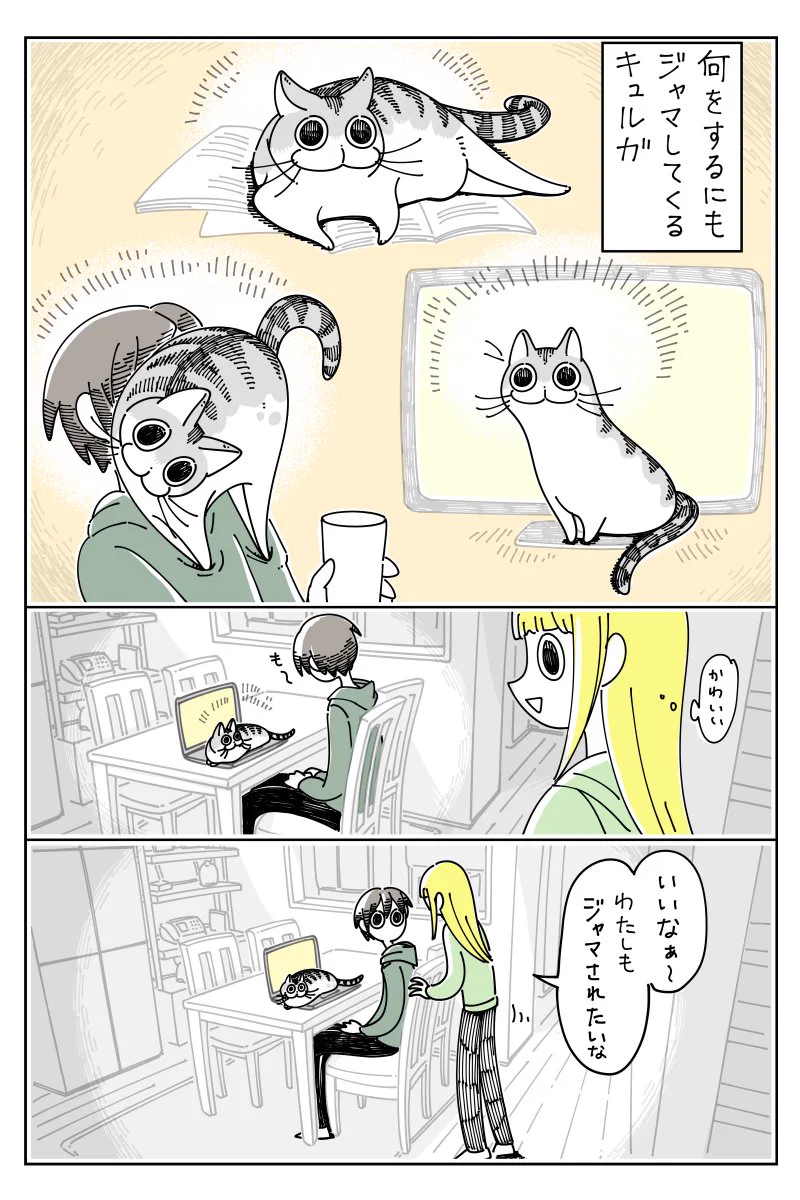 邪魔をしてほしい人には塩対応？www天邪鬼なところも可愛い猫の漫画！