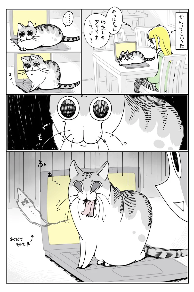 邪魔をしてほしい人には塩対応？www天邪鬼なところも可愛い猫の漫画！