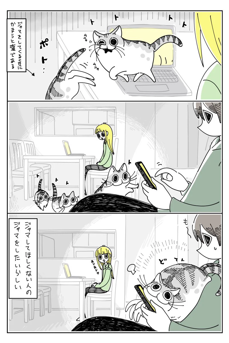 邪魔をしてほしい人には塩対応？www天邪鬼なところも可愛い猫の漫画！