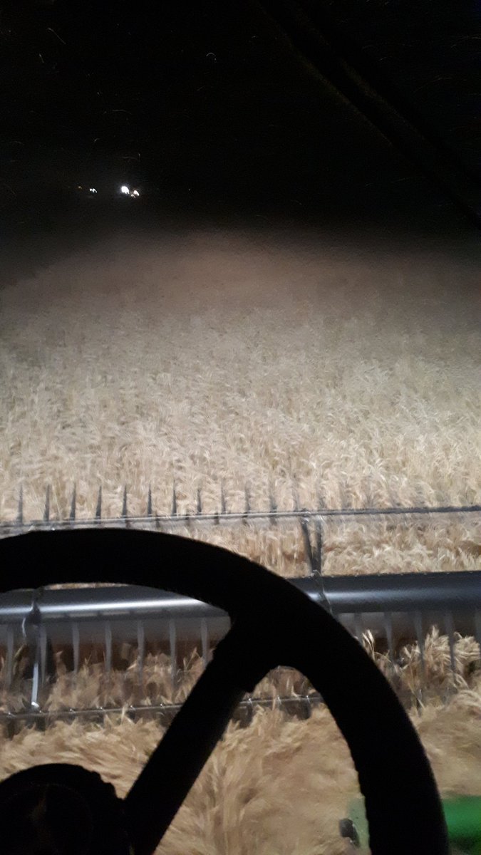 Last 60 acres of wheat for 2020. Hope we can finish it tonight....#rm14