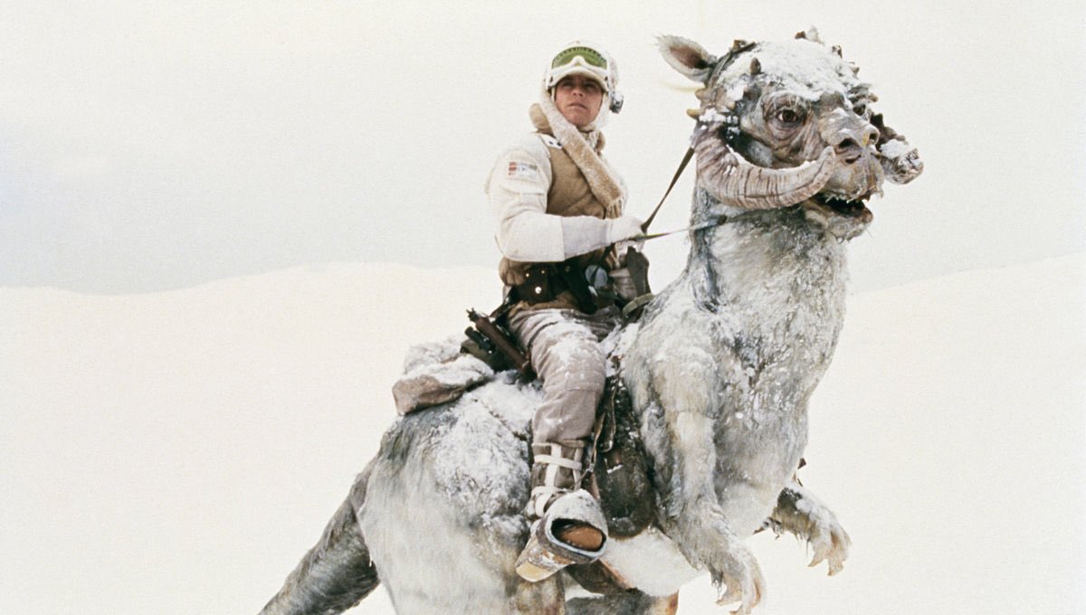 VaderJaws's tweet photo. 🤍#HappyMovieColorChallenge🤍
🔟/9️⃣: 🤍WHITE🤍
🎥: #TheEmpireStrikesBack (1980)
🤍#TheForceIsWithYou🤍
@Ajayrogers @518Gigawatts
@Helennon1 @neilbelieves https://t.co/T70R48RCNQ