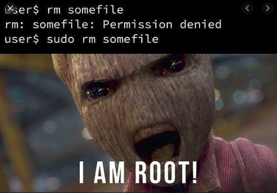 codelearn_io's tweet image. I AM GROOT
#codelearn