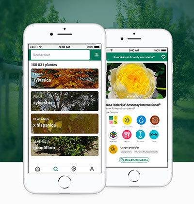 GroupeFabemi's tweet image. Floriscope désormais disponible en version mobile.
Créée pour les professionnels du végétal et du paysage, Floriscope facilite l’accès au plus grand référentiel français de plantes pour les jardins et espaces verts depuis son smartphone. floriscope.io