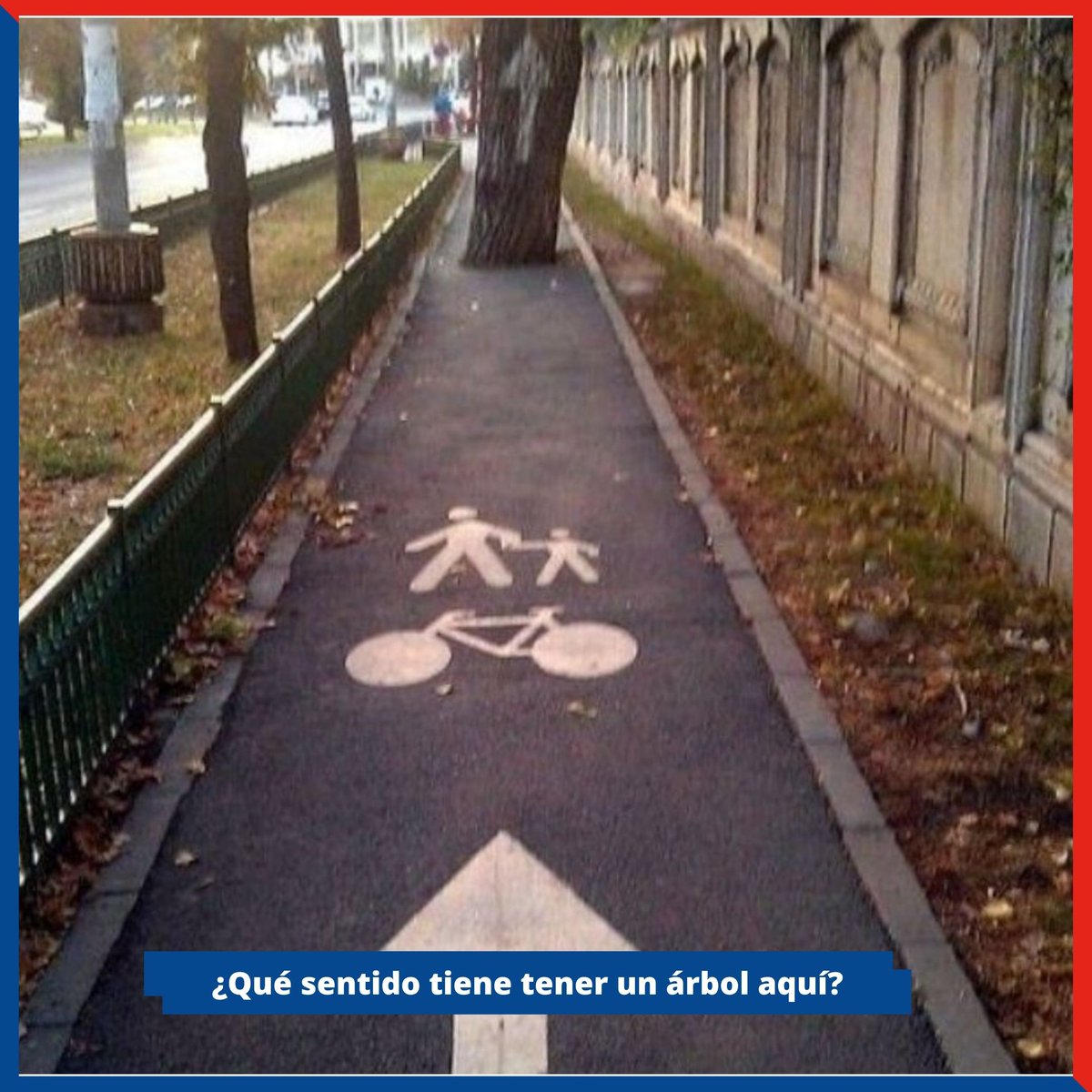 BigMatIberia's tweet image. 🌳¿Qué sentido tiene tener un árbol aquí? 😂😅 Obras desastres, definitivamente no fueron asesorados por #BigMat #BigViernes #Reforma #Construcción #Arquitectura #ArquitecturayDiseño #Decoración #Diseñodeinteriores #Humor  #Yaesviernes #porfinesviernes