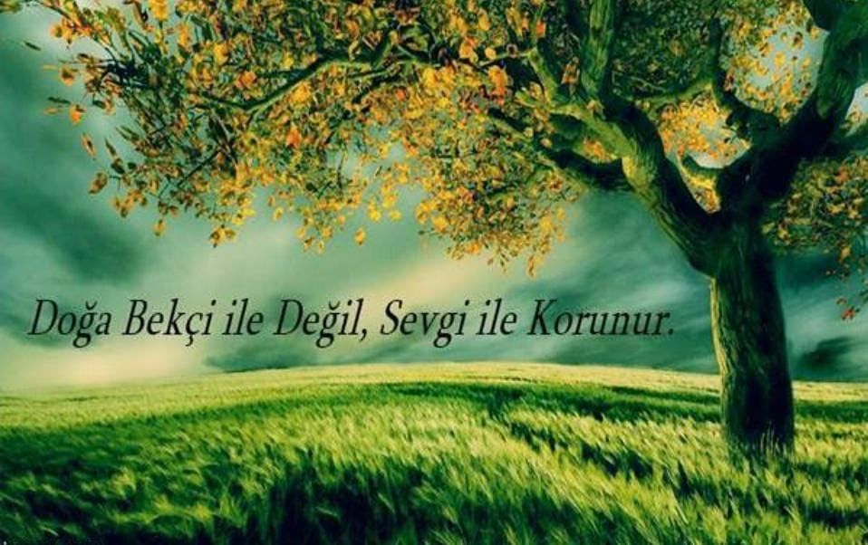 "Doğa;bize bilgiyi değil, bilginin tohumlarını vermiştir."

Bu güzel cuma gününde tabiatın tüm güzelliklerinin korunmasını diliyorum.
Dualarımız kabul, cumamız mübarek olsun.
#HayırlıCumalar

                Mustafa Barın
İYİ Parti İskenderun İlçe Başkanı