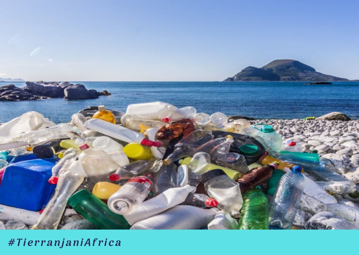To avoid a massive build-up of plastic in the environment, coordinated global action is urgently needed to reduce plastic consumption; increase rates of reuse, waste collection, and recycling.

Read more - sustainability-times.com/environmental-…

#HappyFriday