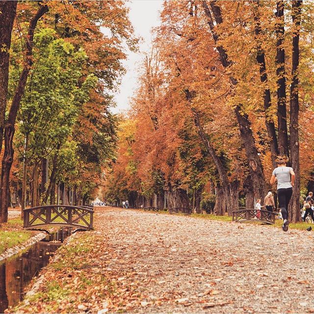 Cluj Tourism tweet media