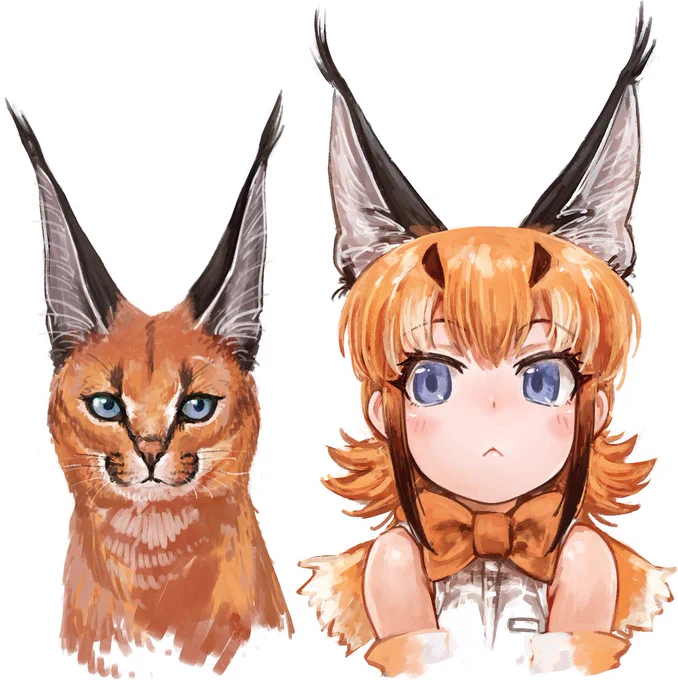 けもフレ3でカラカルの出番が来るのずっと待ってました!!!!!
セーバルと一緒にどんな風に出てくるか超楽しみ 